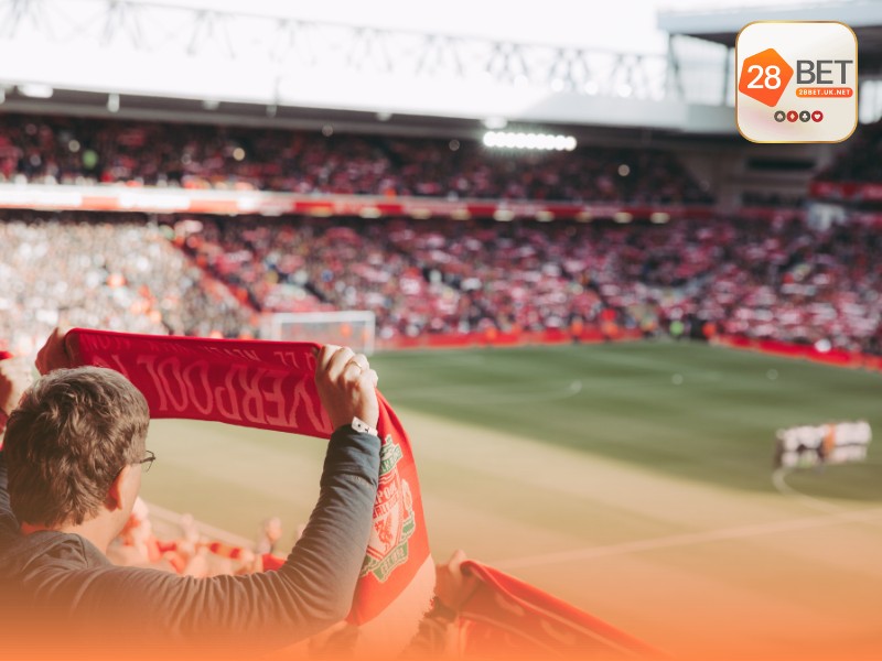 Đa dạng kèo cược và tỷ lệ Odds hấp dẫn tại 28bet